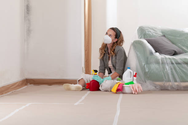 Reliable Crawl Space Mold Remediation contractor in Kennesaw, GA by 24 Hour Mold Removal